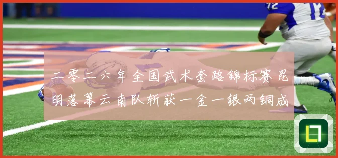 二零二六年全国武术套路锦标赛昆明落幕云南队斩获一金一银两铜成长观察