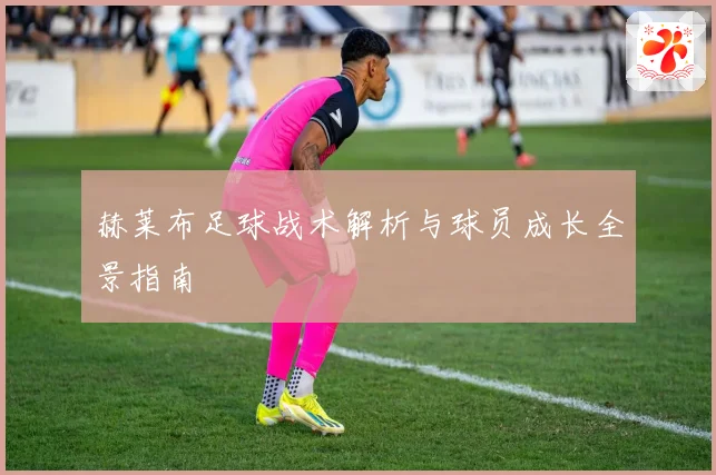 赫莱布足球战术解析与球员成长全景指南