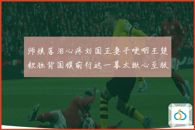 师娘落泪心疼刘国正妻子哽咽王楚钦独背国旗前行这一幕太揪心至极赛场解读