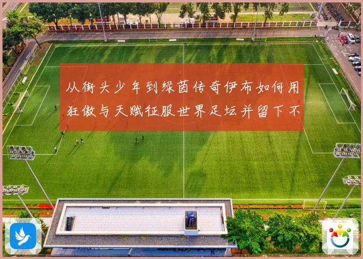 从街头少年到绿茵传奇伊布如何用狂傲与天赋征服世界足坛并留下不朽神话