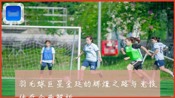 羽毛球巨星金廷的辉煌之路与竞技传奇全面解析