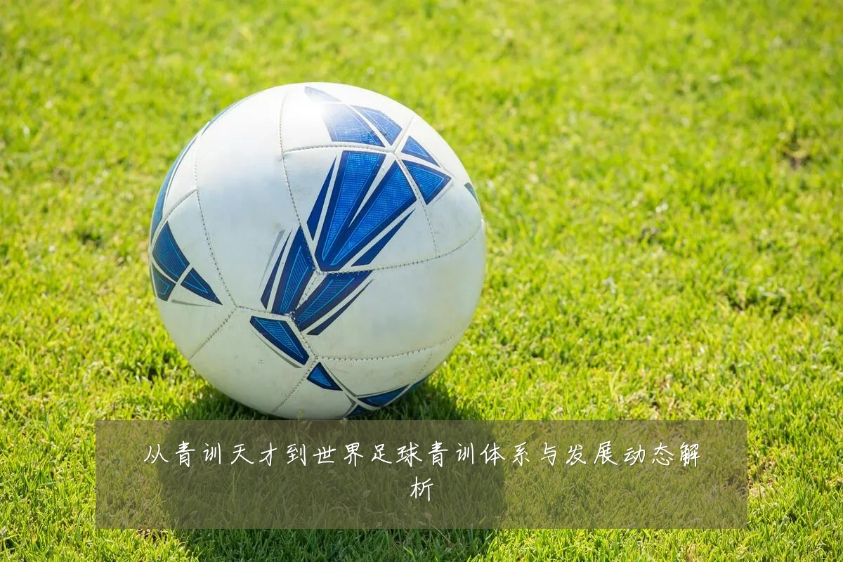 从青训天才到世界足球青训体系与发展动态解析