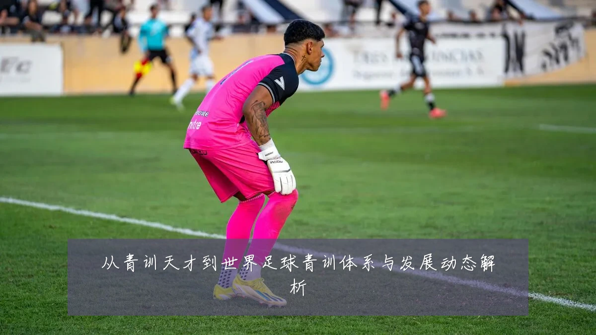 从青训天才到世界足球青训体系与发展动态解析