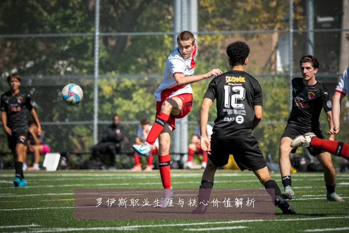罗伊斯职业生涯与核心价值解析